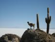 Salar de Uyuni 2 - Prazky Klub